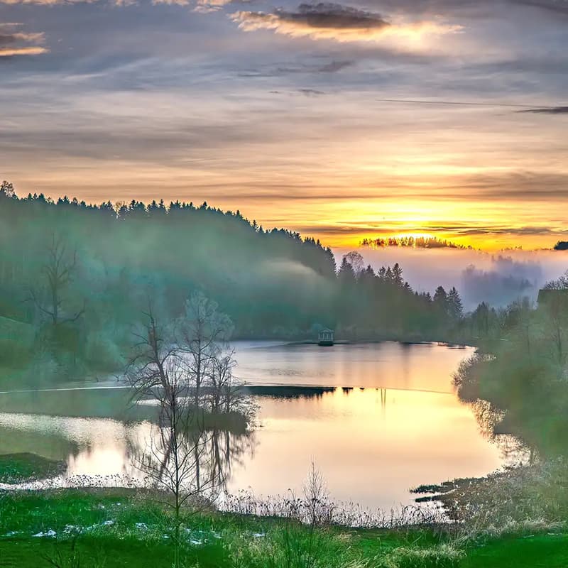 Cover Image for Foto Nightwalk im März