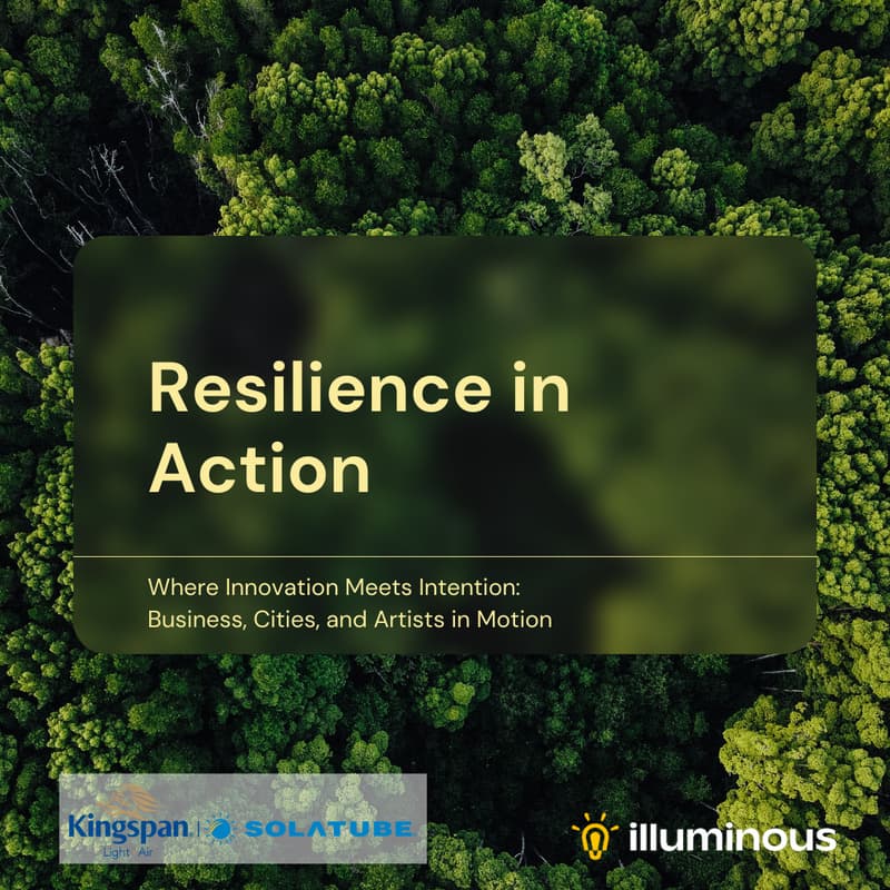 Cover Image for Resilience in Action