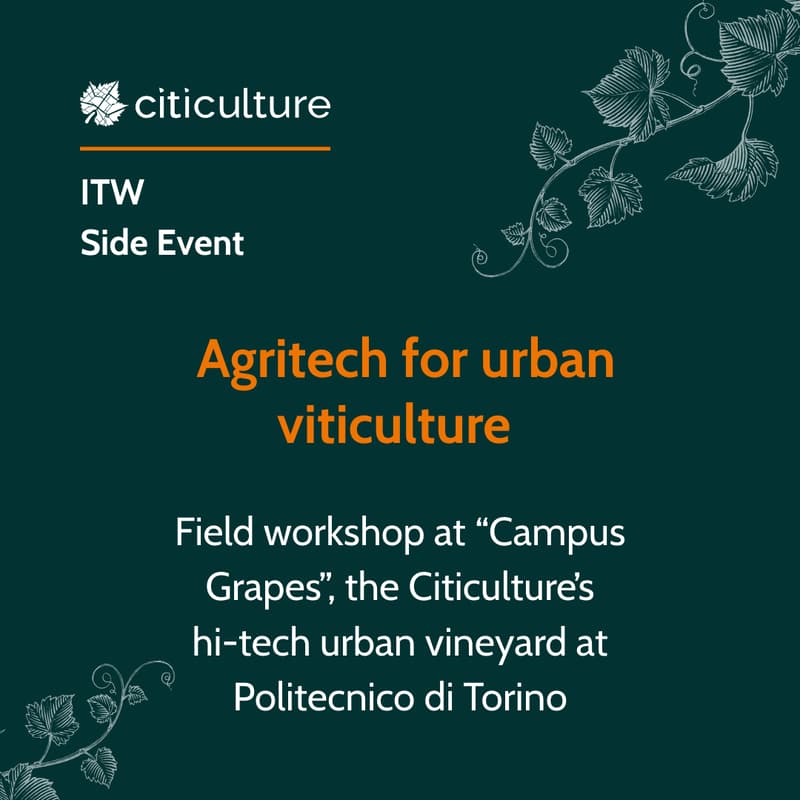 Cover Image for Tech in the Rows: innovation cultivating the future