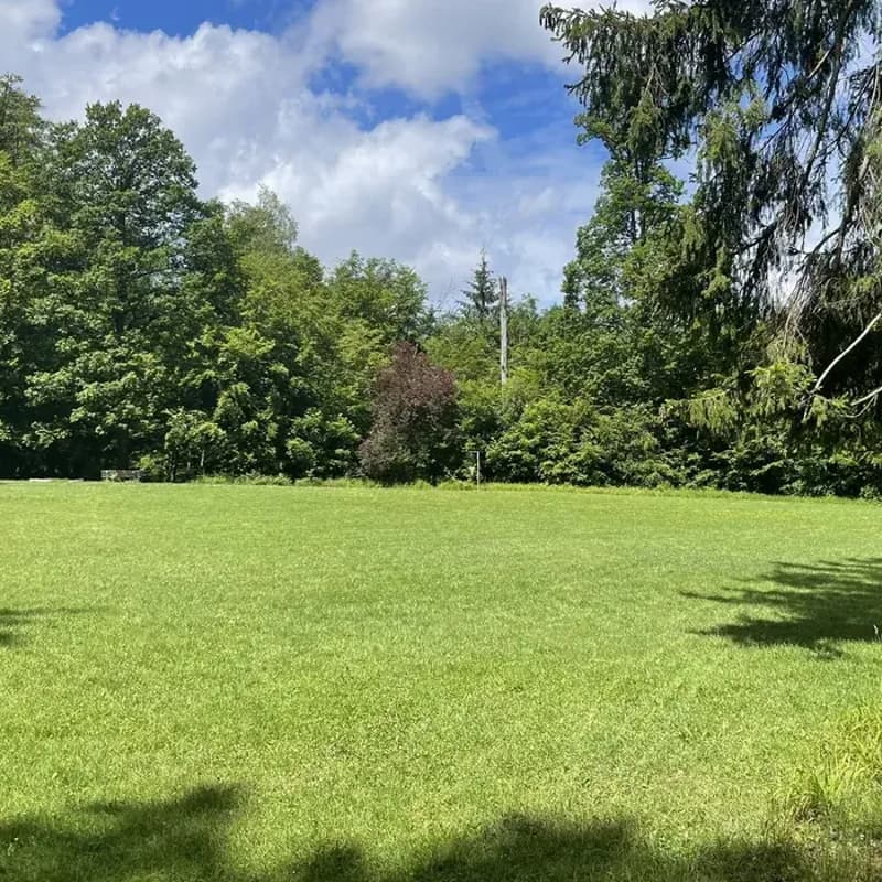 Cover Image for Founder & CEO Energy Morning Walk