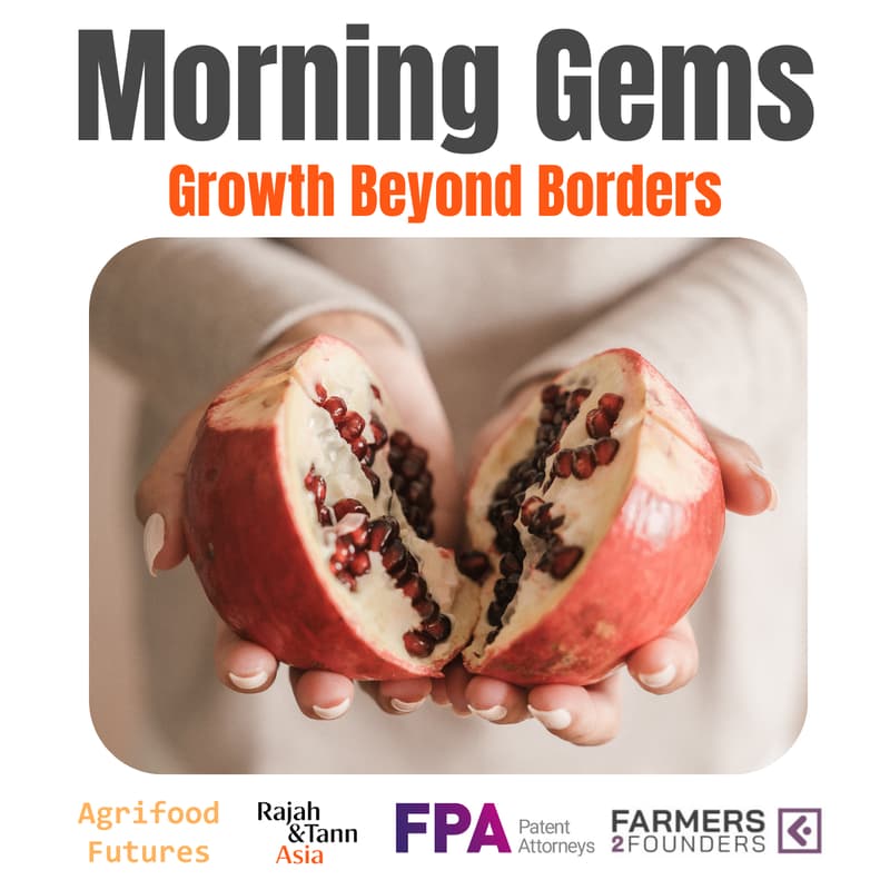 Cover Image for Morning Gems - Growth Beyond Borders