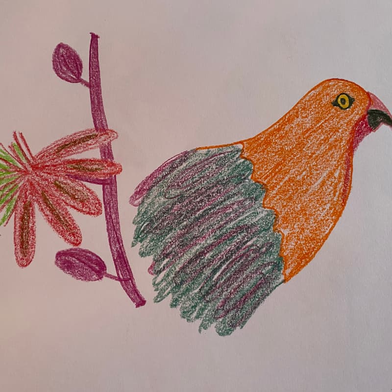 Cover Image for August - Draw Together