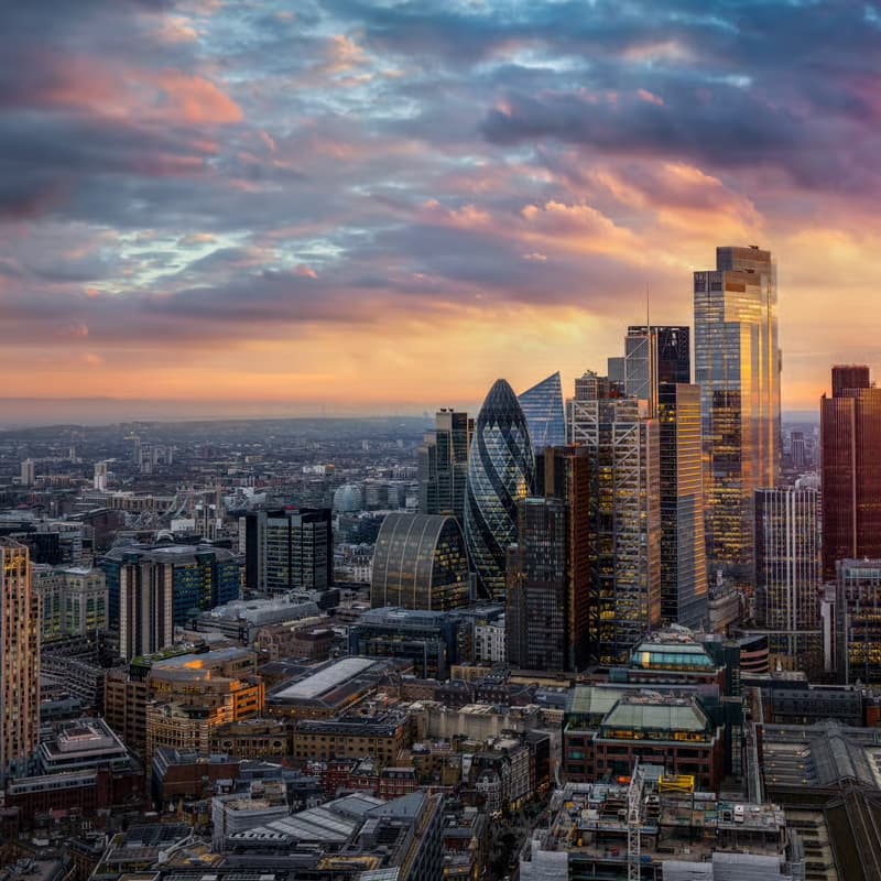 Cover Image for London Reception