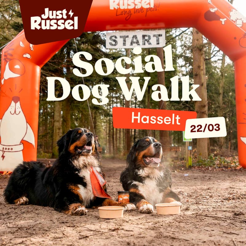 Cover Image for Social Dog Walk - Hasselt
