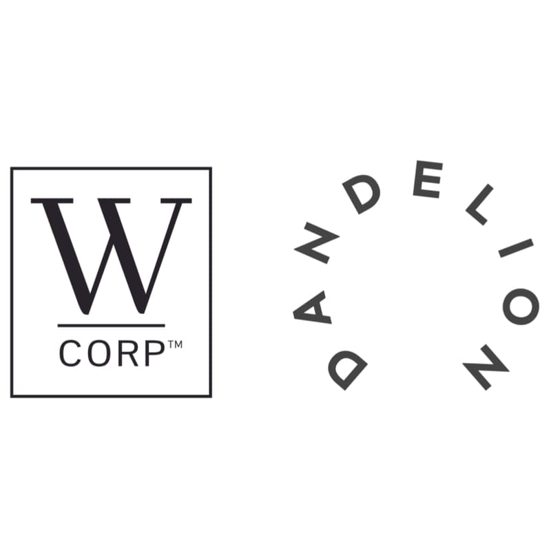 Cover Image for Reimagining the World for Women: Women Only - WCorp and Dandelion