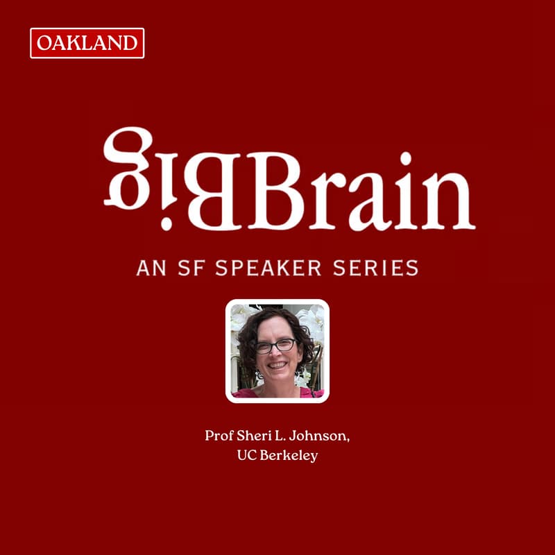 Cover Image for Highs, Lows, and Mania: The Science of Creativity