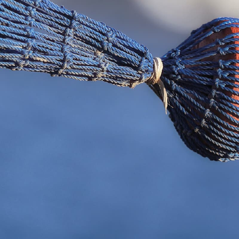 Cover Image for 3r Taller de fotografía digital