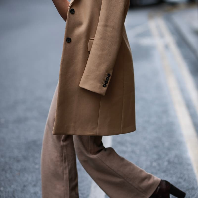 Cover Image for The Working Capsule