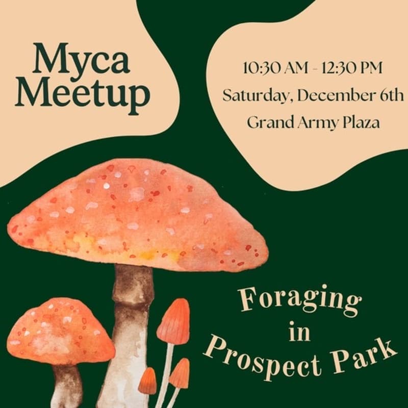 Cover Image for Myca: Foraging in Prospect Park