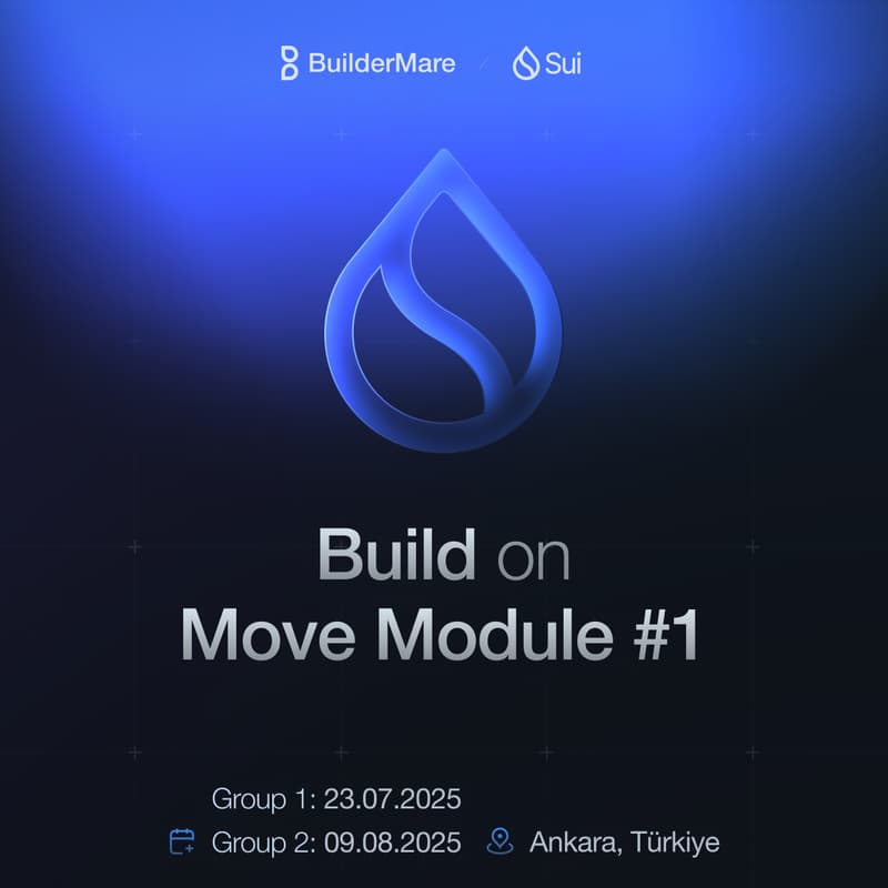 Cover Image for BuilderMare SUI Education - Group 2