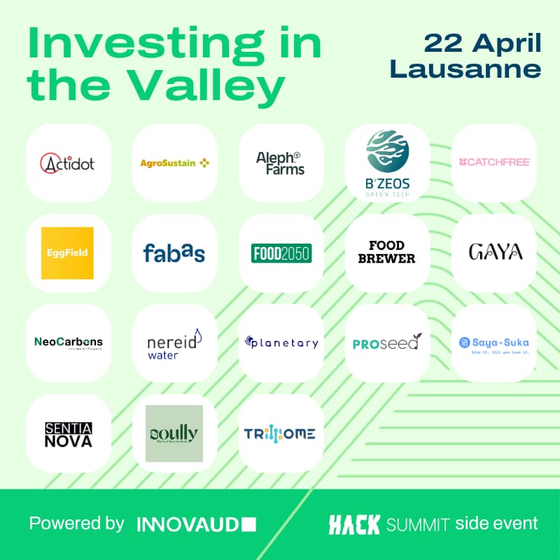 Cover Image for Investing in the Valley