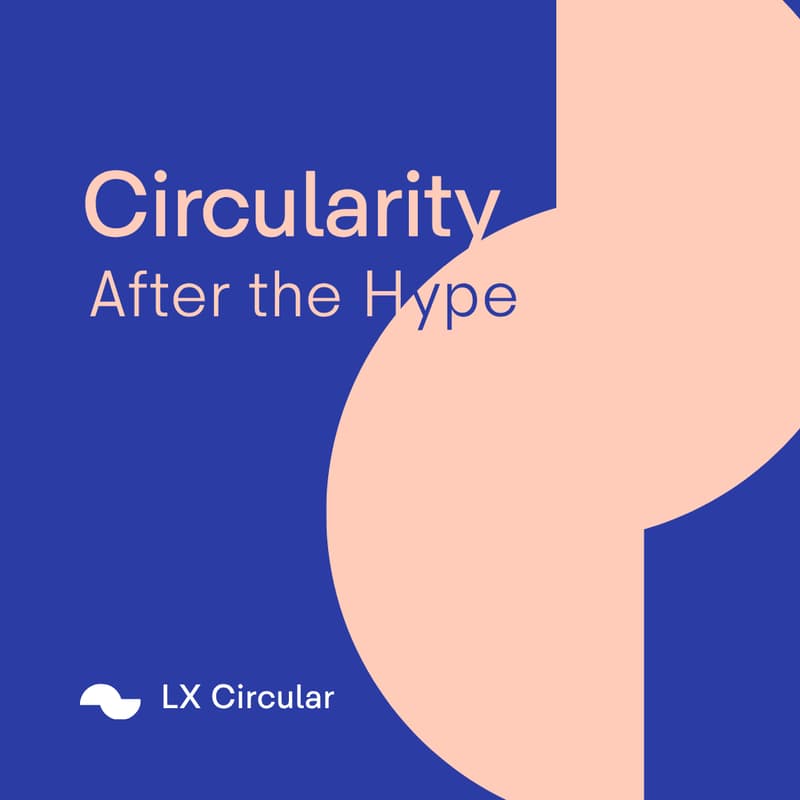 Cover Image for Circularity I After the Hype