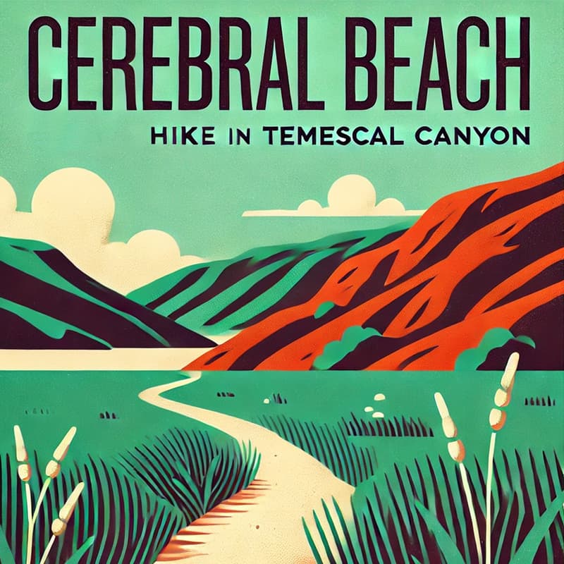 Cover Image for Cerebral Beach: Sunday Morning Hike