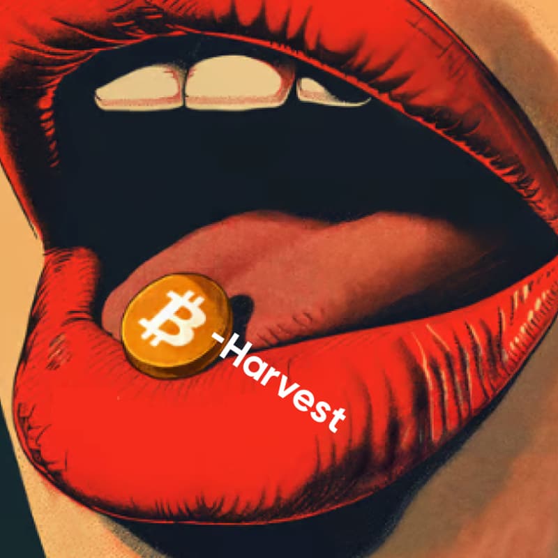 Cover Image for Job Affair: Fall in Web3 <3