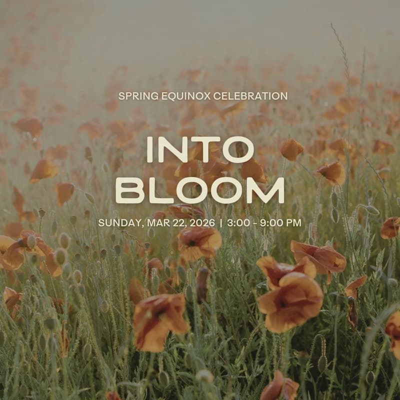 Cover Image for Spring Equinox : Into Bloom