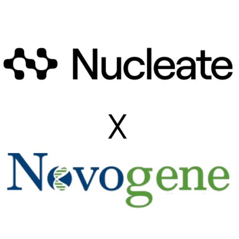 Cover Image for Inside Novogene: Sequencing Technology & Technical Sales Careers