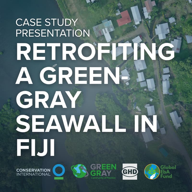 Cover Image for Retrofiting a Green-Gray Seawall in Nabukadra, Fiji