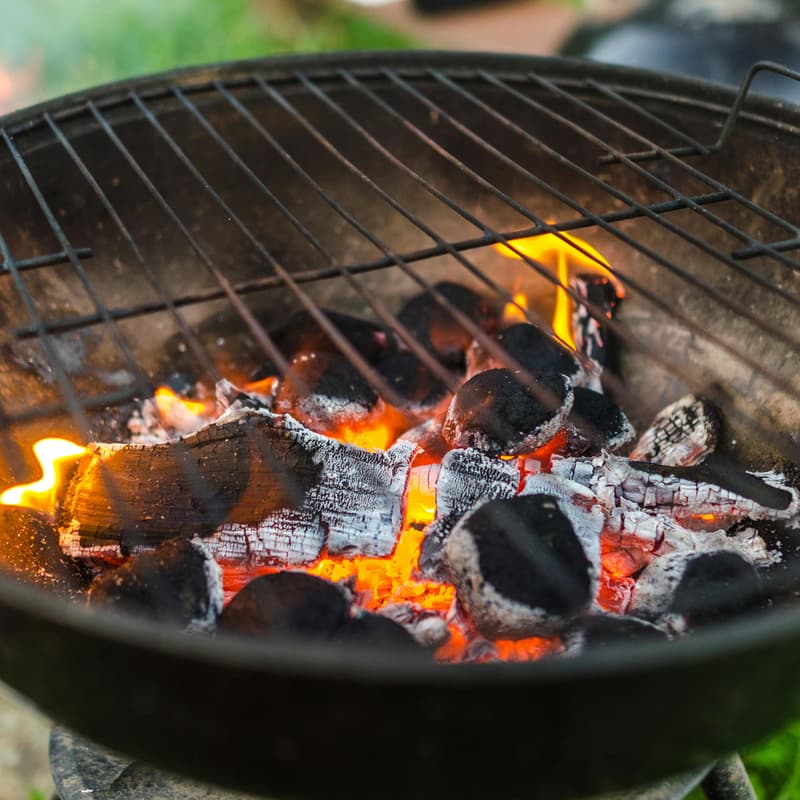 Cover Image for August 1st BBQ at the lakeside