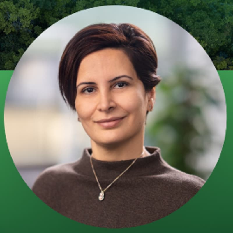 Cover Image for Science Solutions: Frontiers Planet Prize: International Champions: Prof. Zahra Kalantari (KTH Royal Institute of Technology)