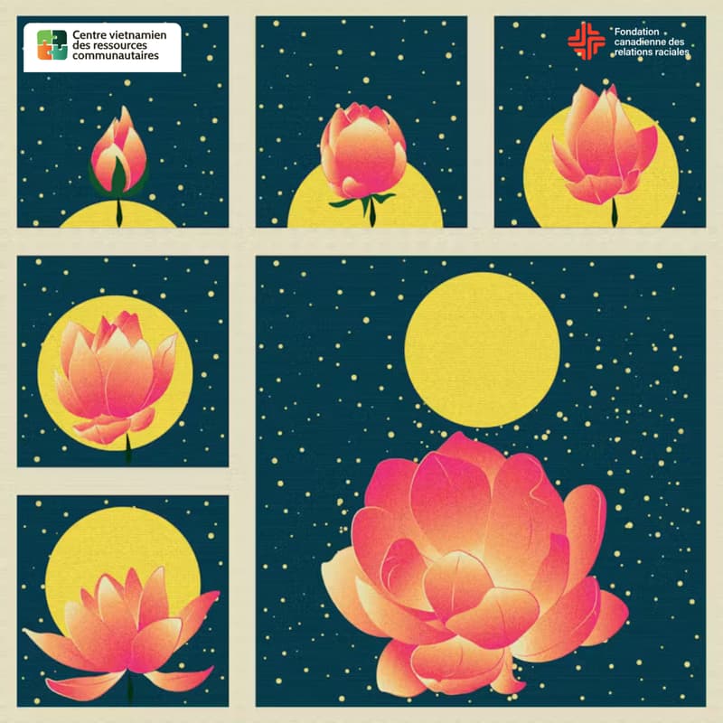 Cover Image for Entre mémoire et devenir: ce qui nous relie et nous transforme