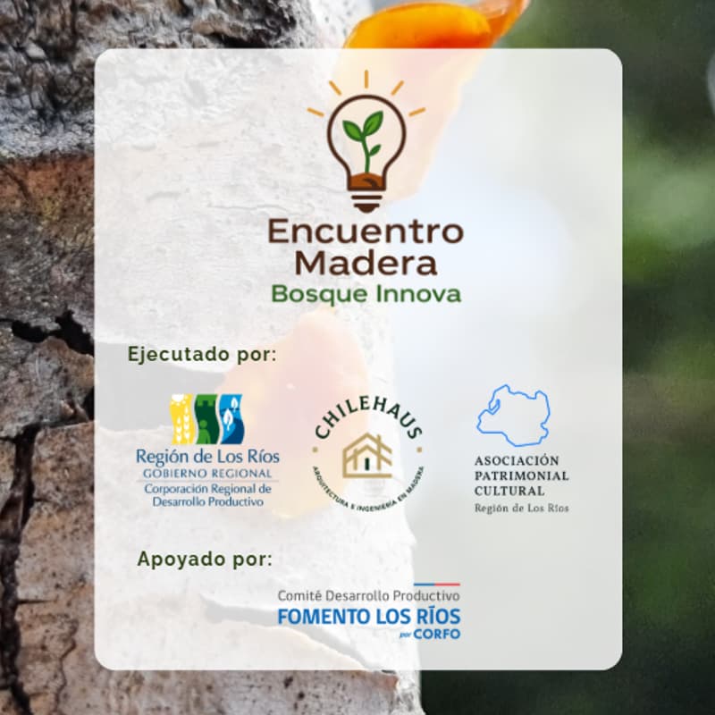 Cover Image for Lanzamiento Bosque Innova