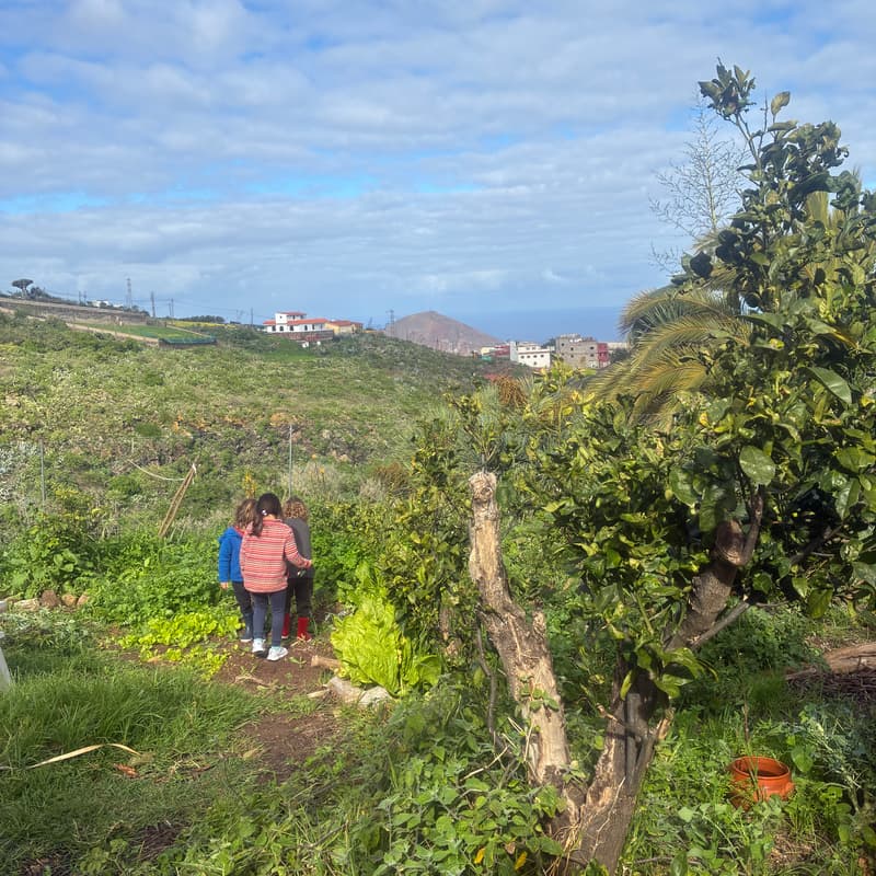 Cover Image for Tarde en el jardin!