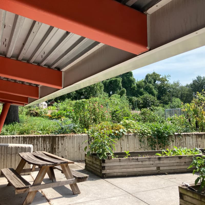 Cover Image for Upshur Community Garden Open House + Volunteer Opportunity