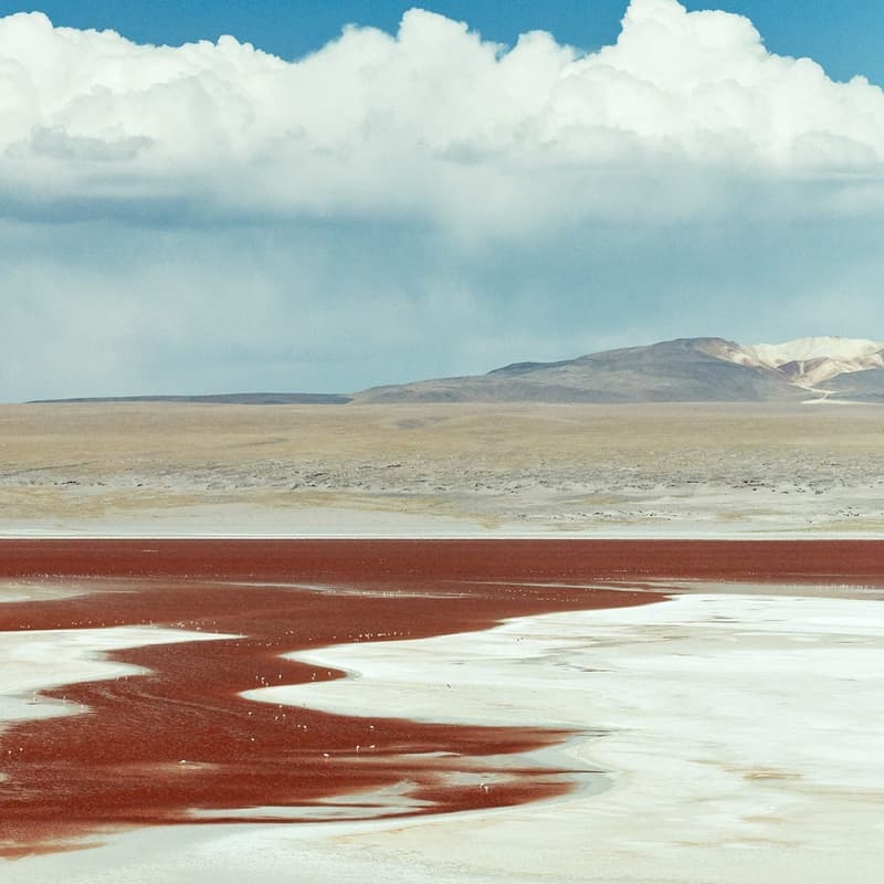 Cover Image for LA Biohackers Meetup