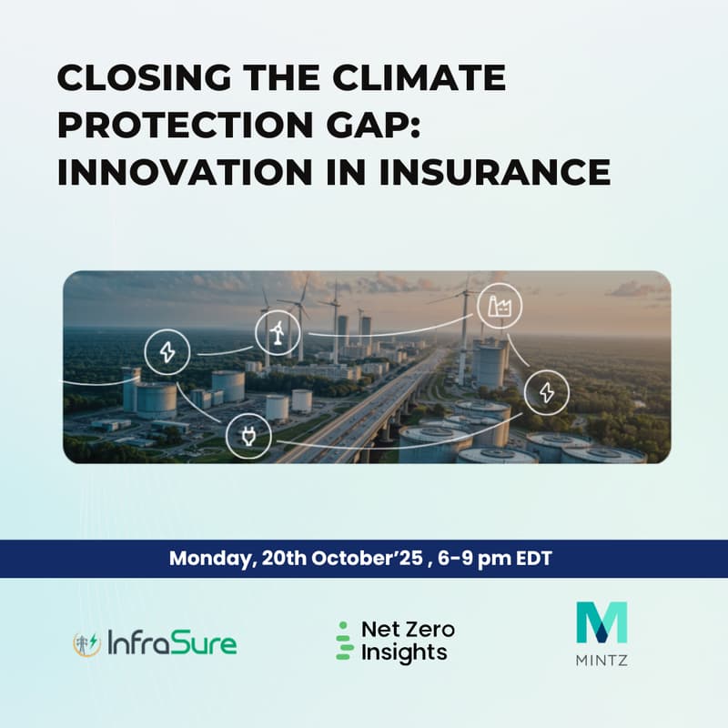 Cover Image for Closing the Climate Protection Gap: Innovation in Insurance