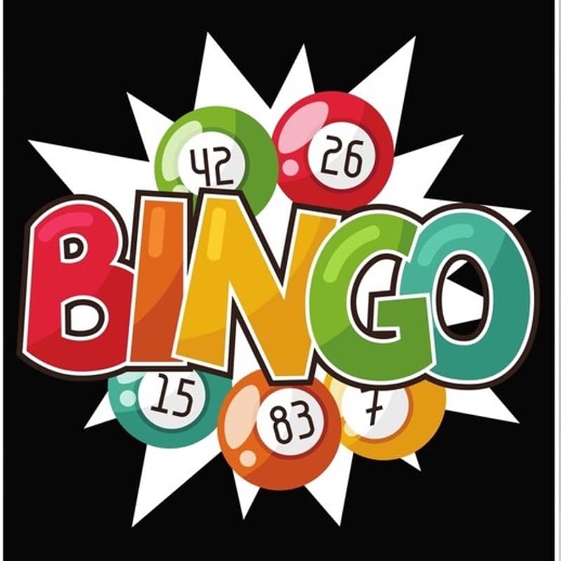 Cover Image for Bingo!