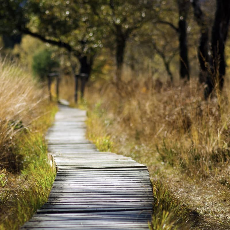 Cover Image for Well-Being for Fire & Forestry Entrepreneurs