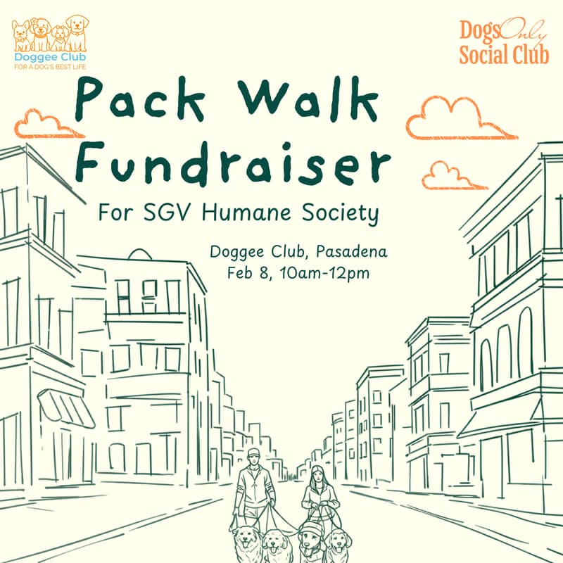 Cover Image for Feb Pack Walk Fundraiser