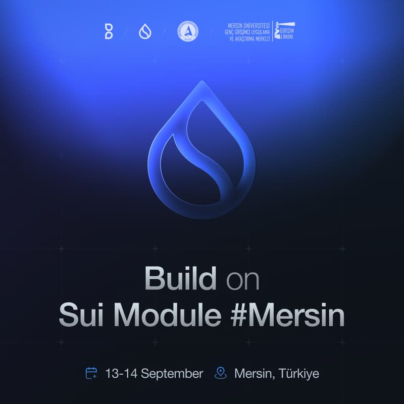 Cover Image for BuilderMare SUI Education #Mersin_1