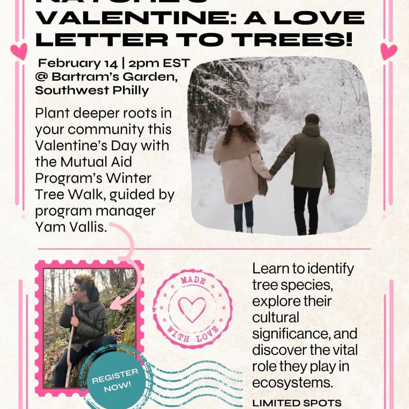 Cover Image for Nature’s Valentine: A Love Letter to Trees!
