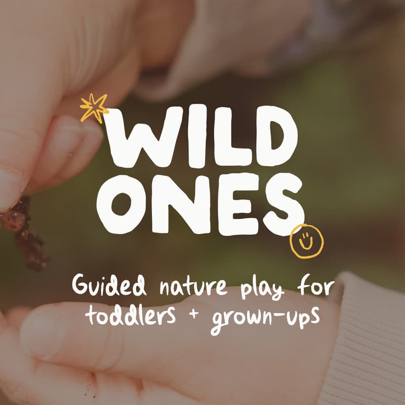 Cover Image for Wild Ones: Guided nature play for toddlers + grown-ups