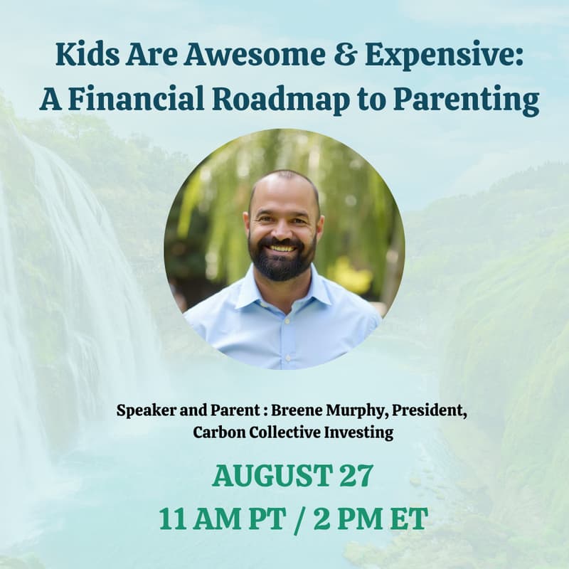 Cover Image for Kids Are Awesome...and Expensive: A Financial Roadmap to Parenting