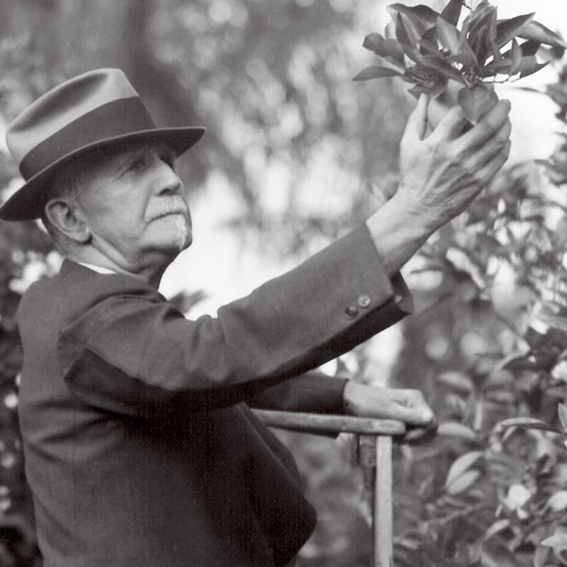 Cover Image for "Hidden Babson" — A Walking Tour of Campus Hidden Gems