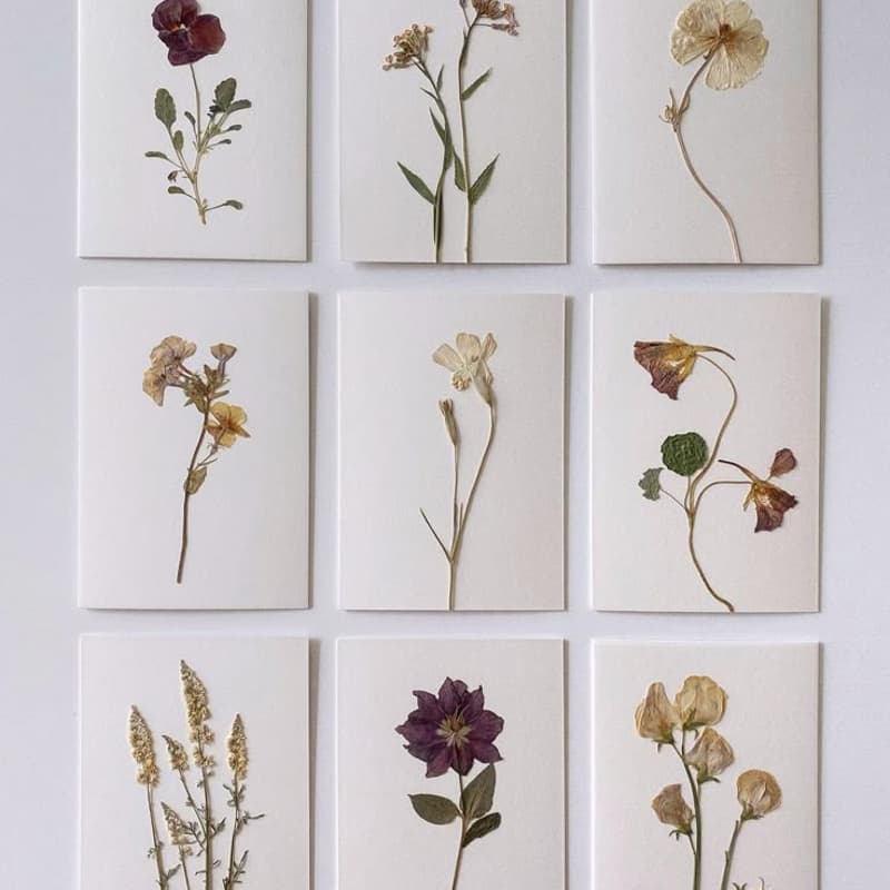 Image de couverture pour Les Amis: Herbarium Workshop 24.4