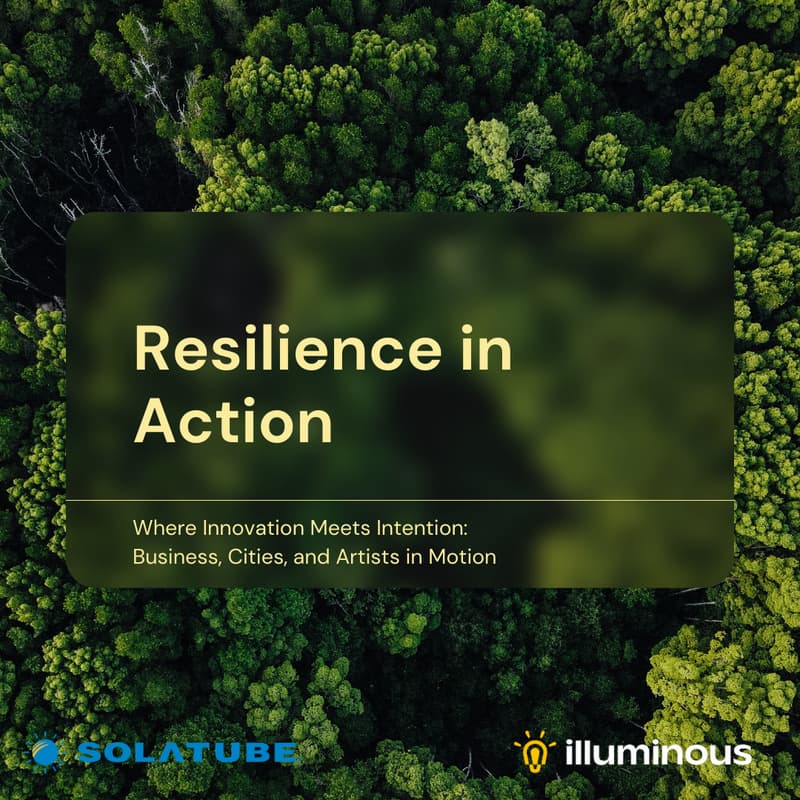 Cover Image for Resilience in Action