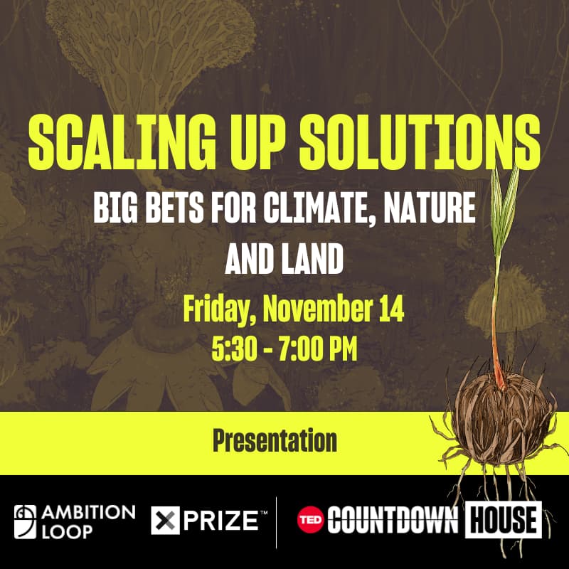 Cover Image for Scaling up solutions: Big bets for climate, nature and land