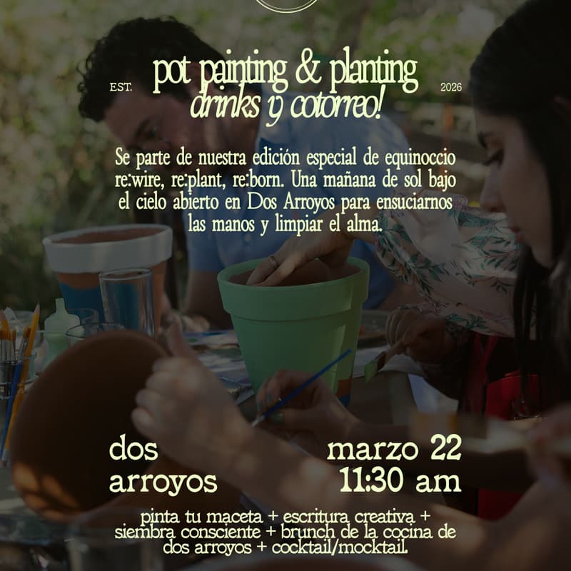 Cover Image for Pot Painting & Planting, drinks & cotorreo