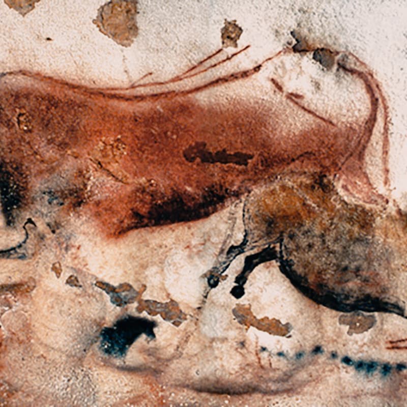 Cover Image for Animali: a slow reading group – A Report to an Academy by Kafka