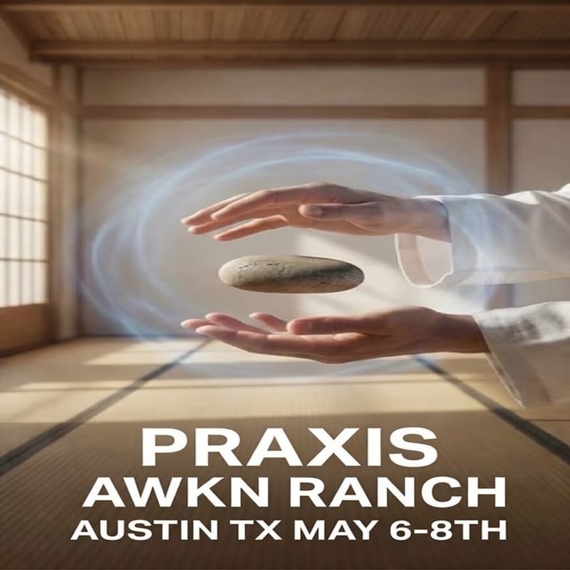 Cover Image for Praxis — An Initiation into Applied Consciousness