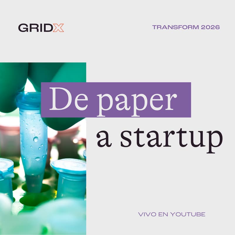 Cover Image for De paper a startup: Q&A con GRIDX