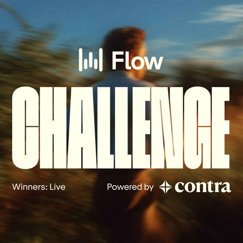 Cover Image for Wispr Flow Challenge: Winner's Announcement