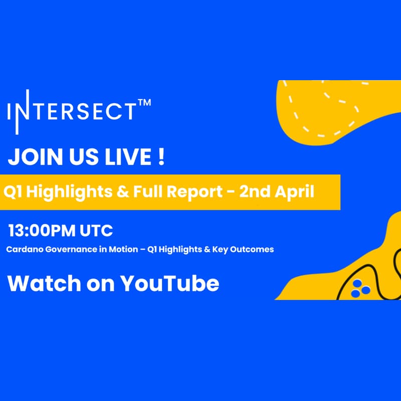 Cover Image for Intersect Town Hall | Q1 Highlights & Full Report