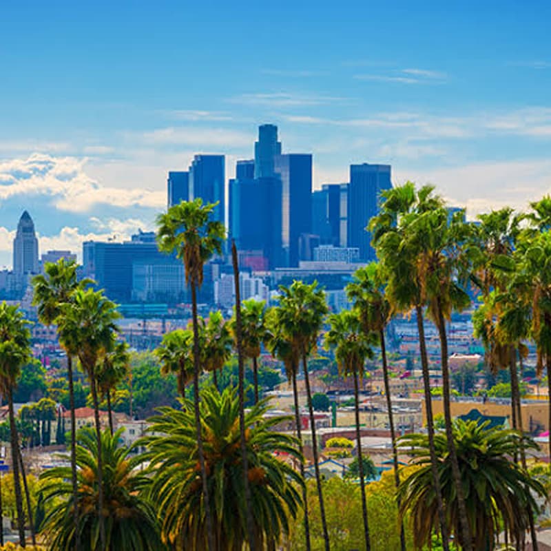 Cover Image for The Los Angeles Adventure : 5 Day 4 Night Stranger Trip!