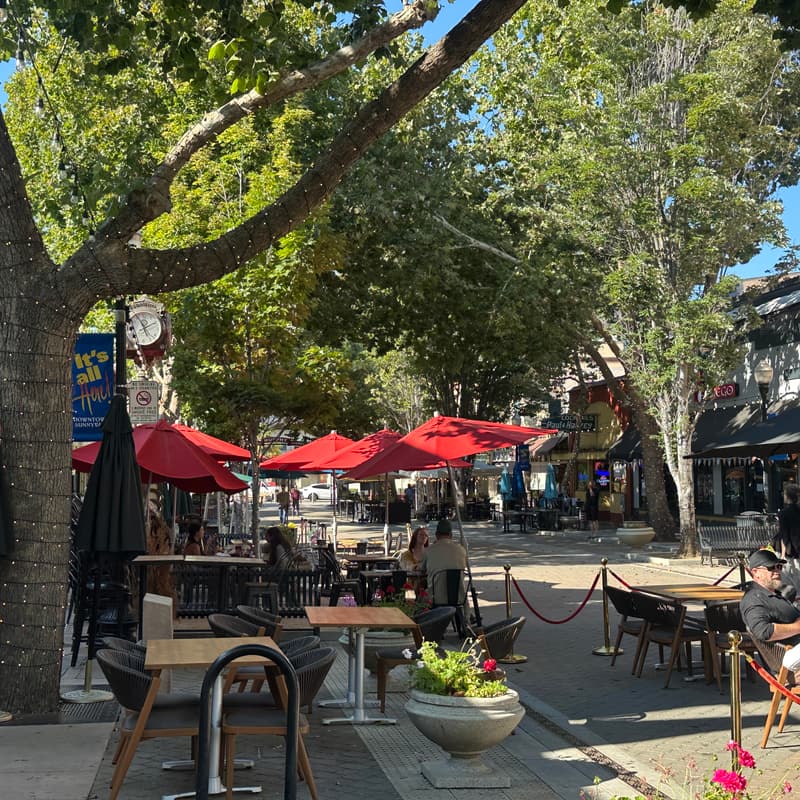 Cover Image for Sunnyvale Walk Audit