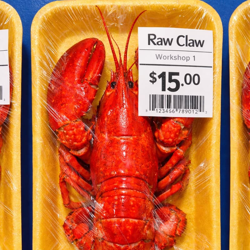 Cover Image for OpenClaw Workshop #1