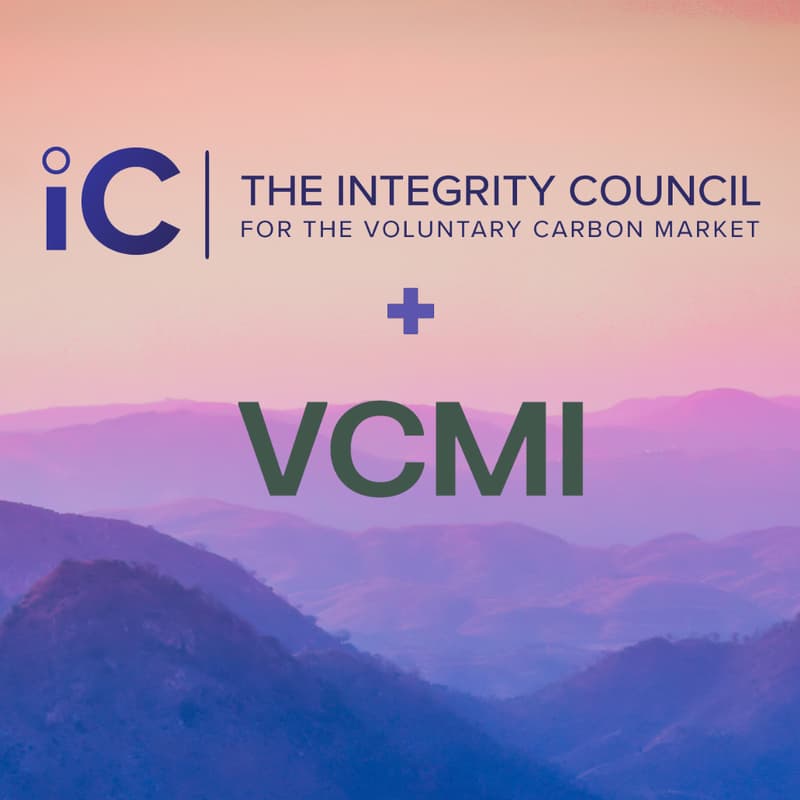 What does a new chapter for the VCM, grounded in high integrity mean ...